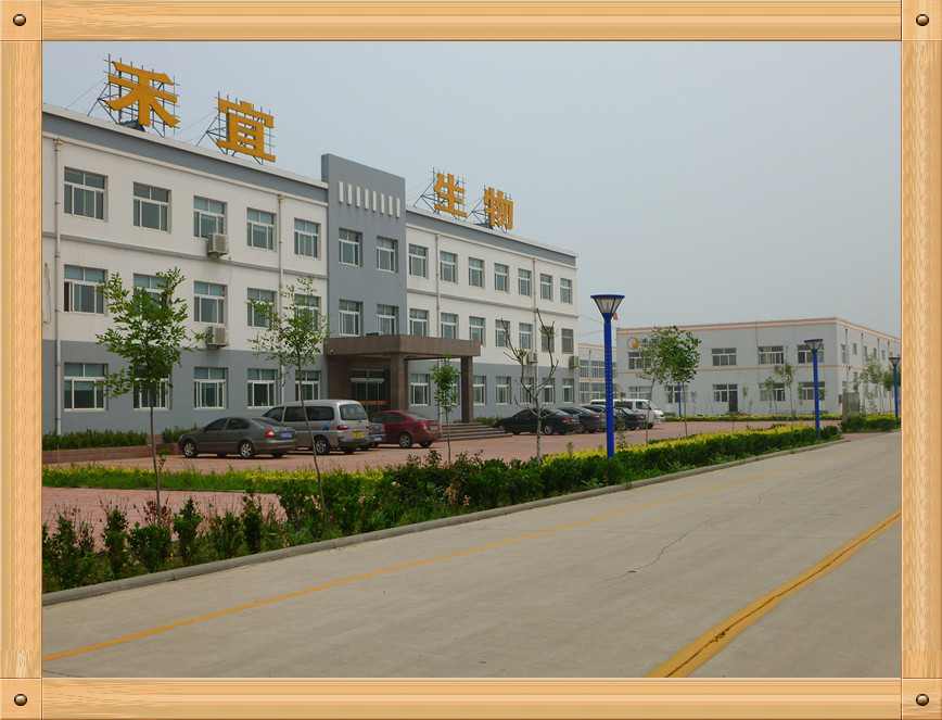 الصين Weifang Heyi Agrochemical Co.,Ltd ملف الشركة